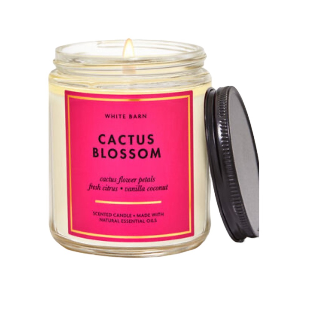 🌵🌺Cactus Blossom Candle🌺🌵